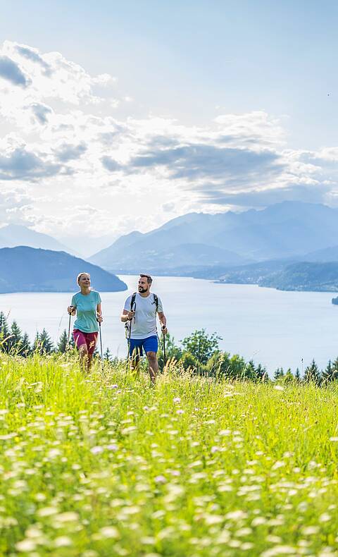 Blühende Almwiesen und schroffe Felsen säumen den Via Paradiso Wanderweg © Gert Perauer_MBN Tourismus