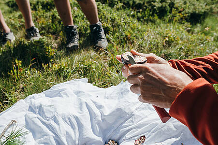 Old knowledge rediscovered - Herbal hike