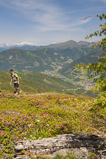 Wanderer erkunden die vielfältige Flora und Fauna auf dem Alpe Adria Trail © Franz Gerdl_Kärnten Werbung