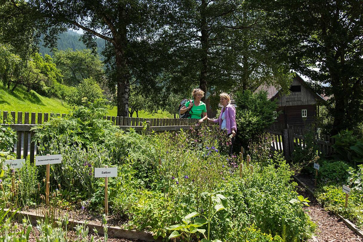 Wandern in Gnesau  © Franz Gerdl_MBN Tourismus