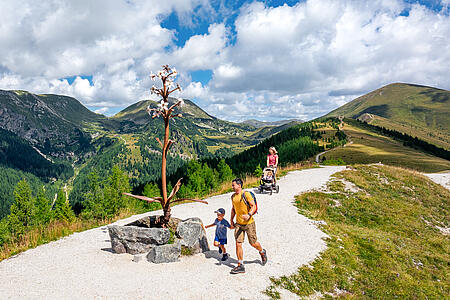 Hiking PLUS: 100 benefits included