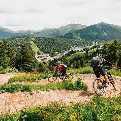 Mountain bike flow trail cheap