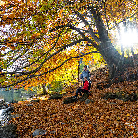 Pärchen sitzt im Herbst am Ufer des Millstätter Sees 