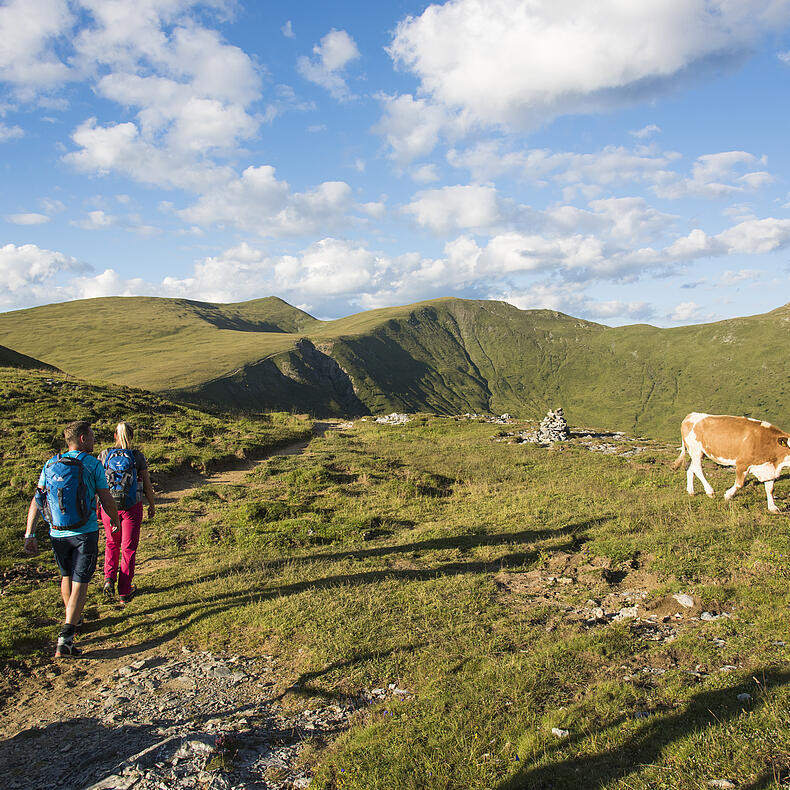 Kletterer erklimmen eine steile Felswand mit dem weiten Tal im Hintergrund © Franz Gerdl