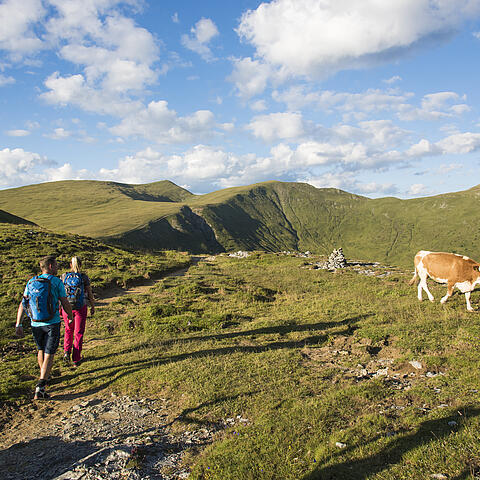 Kletterer erklimmen eine steile Felswand mit dem weiten Tal im Hintergrund © Franz Gerdl