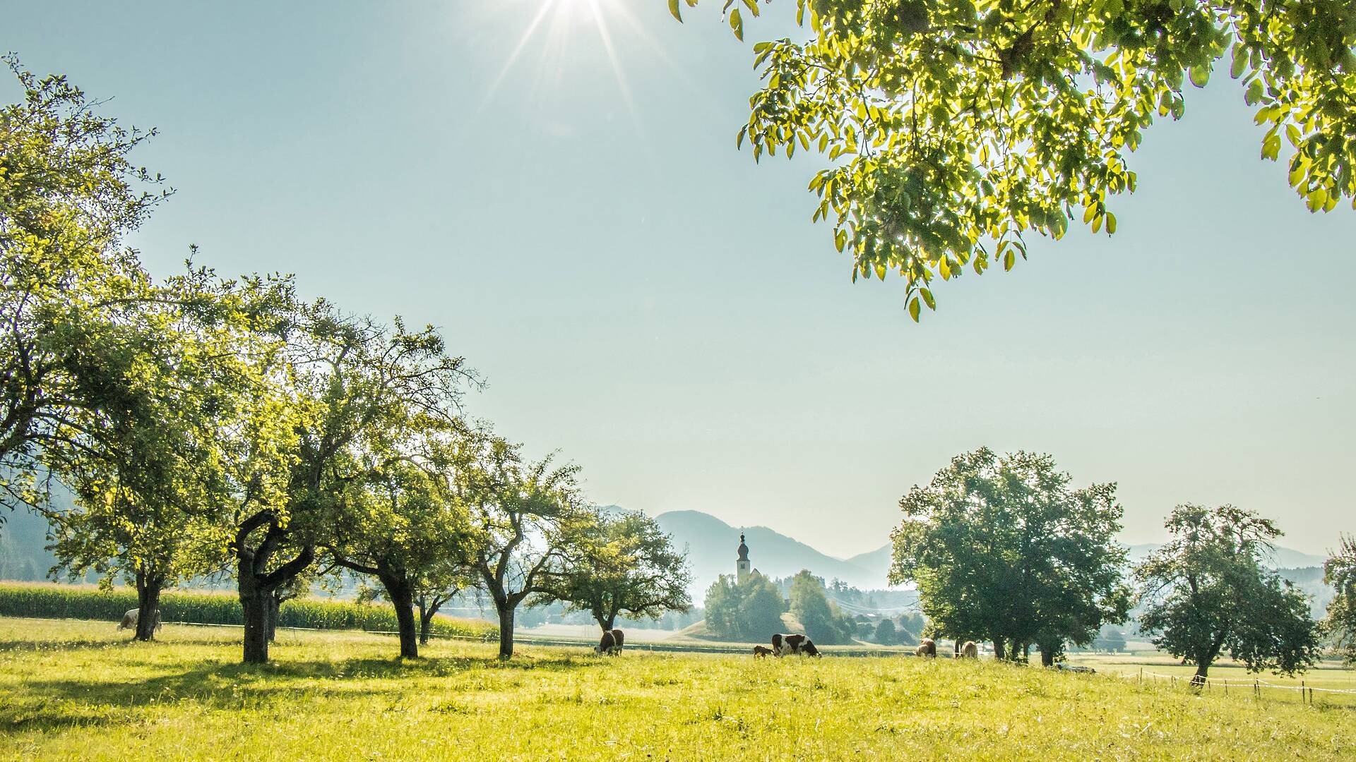 Panorama Lendorf © Gemeinde Lendorf