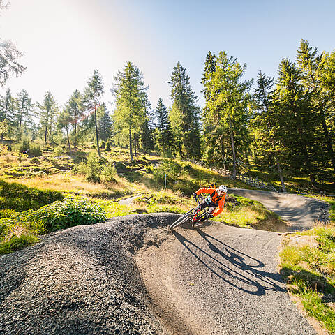 Mtb flow trail 2025