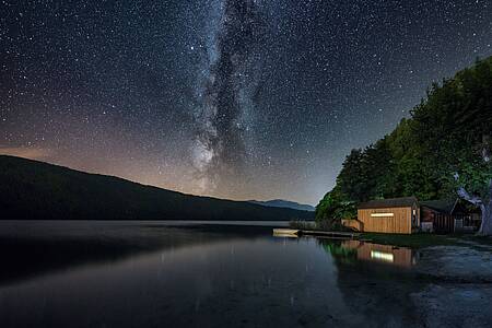 Bivouac Reed | canna palustre