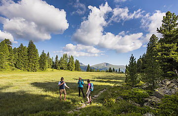 Wandern Turracher Höhe © Franz Gerdl_MBN Tourismus