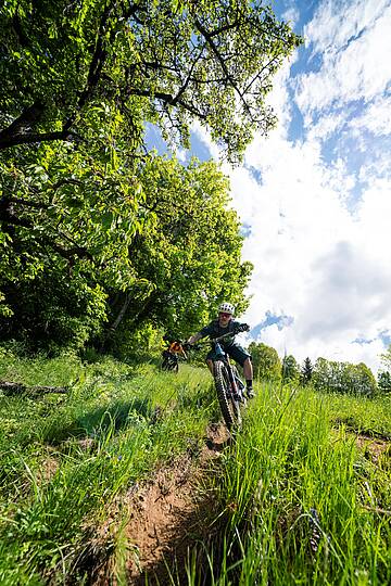 Radfahren im schönen grün © Gert Perauer_MBN Tourismus