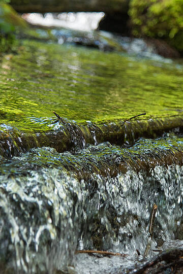 Wandern Tiebelquellen © Franz Gerdl_MBN Tourismus